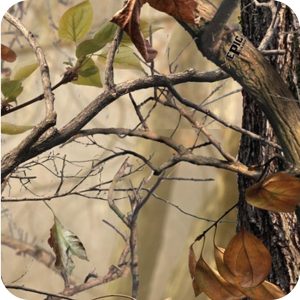 Camuffamento 4 Pellicola per Cubicatura