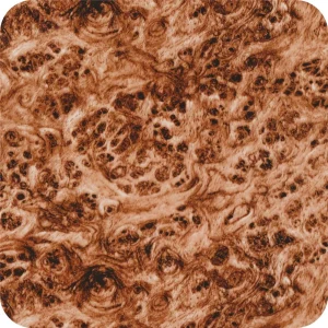 Legno 3 Pellicola per Cubicatura